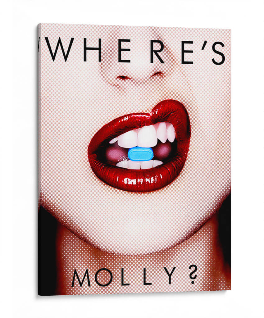 Where's Molly? - David Aste | Cuadro decorativo de Canvas Lab