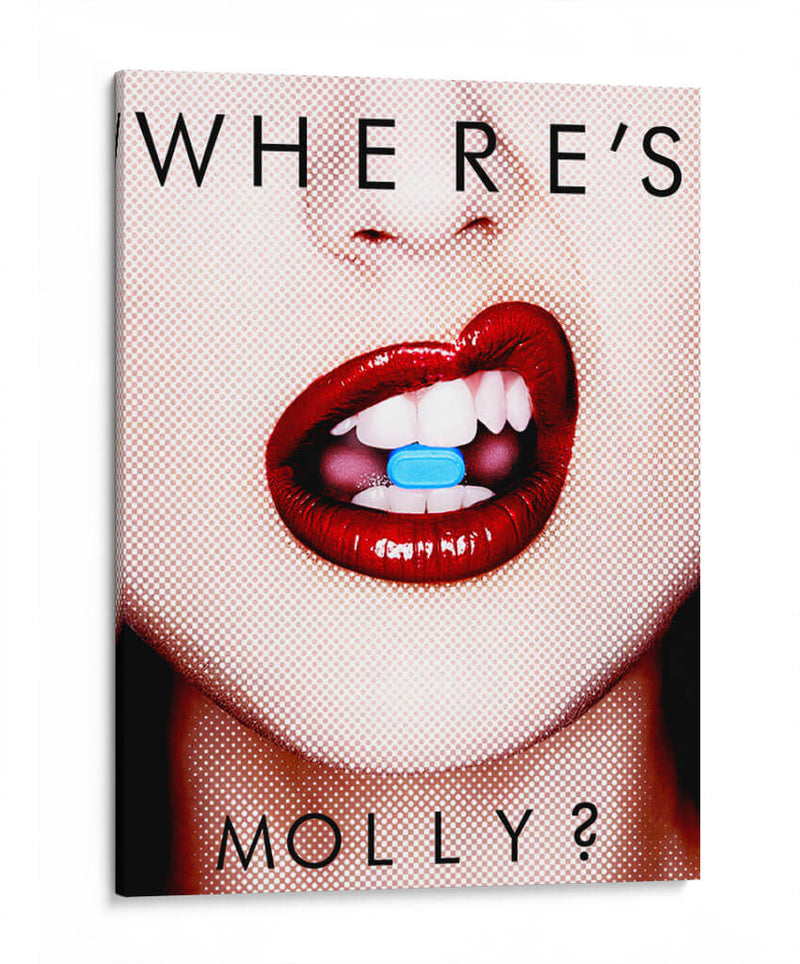 Where's Molly? - David Aste | Cuadro decorativo de Canvas Lab