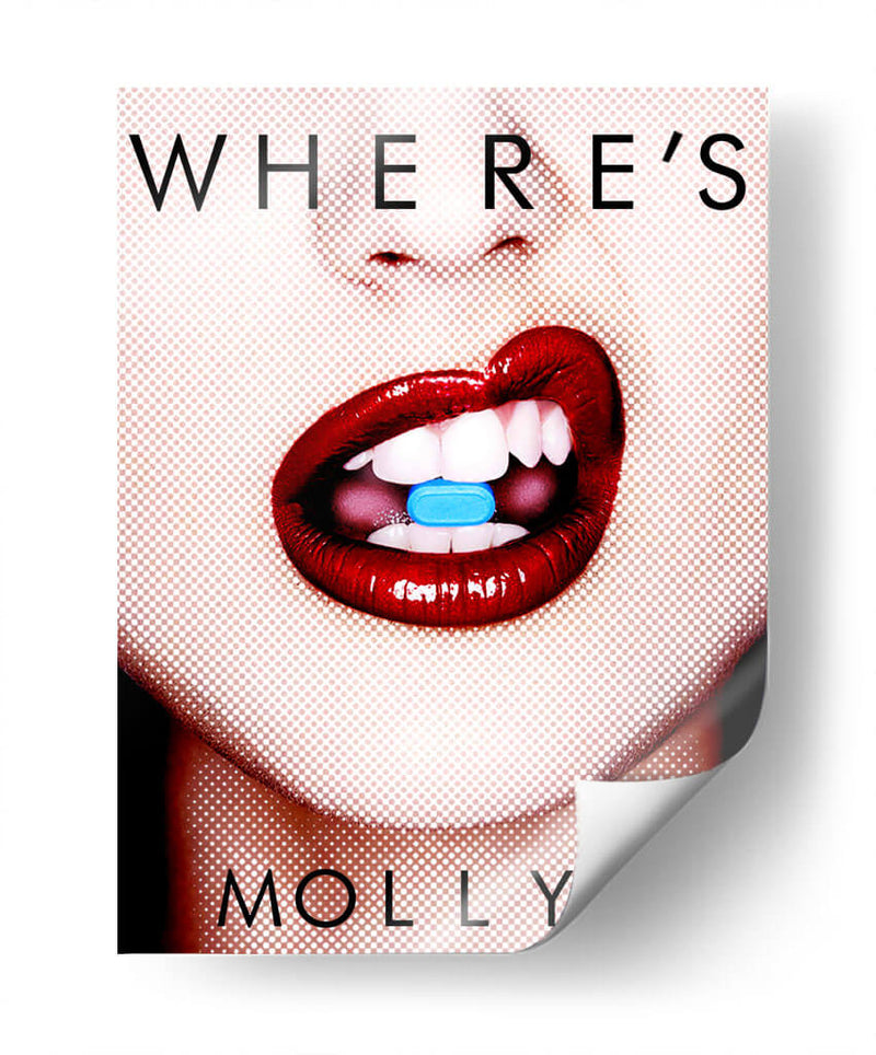 Where's Molly? - David Aste | Cuadro decorativo de Canvas Lab
