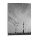 Soledad - Hugo Segura | Cuadro decorativo de Canvas Lab