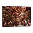 Sombras Radiantes - ECO | Cuadro decorativo de Canvas Lab