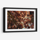 Sombras Radiantes - ECO | Cuadro decorativo de Canvas Lab