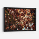 Sombras Radiantes - ECO | Cuadro decorativo de Canvas Lab