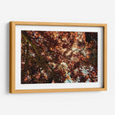 Sombras Radiantes - ECO | Cuadro decorativo de Canvas Lab