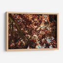 Sombras Radiantes - ECO | Cuadro decorativo de Canvas Lab