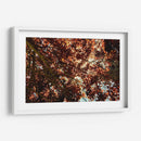 Sombras Radiantes - ECO | Cuadro decorativo de Canvas Lab