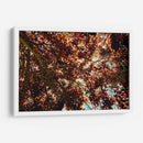 Sombras Radiantes - ECO | Cuadro decorativo de Canvas Lab