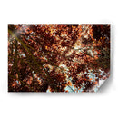 Sombras Radiantes - ECO | Cuadro decorativo de Canvas Lab