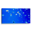 Serenata de Medusas - ECO | Cuadro decorativo de Canvas Lab