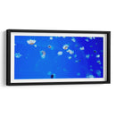 Serenata de Medusas - ECO | Cuadro decorativo de Canvas Lab