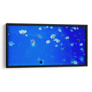 Serenata de Medusas - ECO | Cuadro decorativo de Canvas Lab