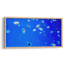 Serenata de Medusas - ECO | Cuadro decorativo de Canvas Lab