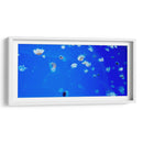 Serenata de Medusas - ECO | Cuadro decorativo de Canvas Lab