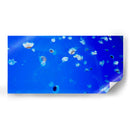 Serenata de Medusas - ECO | Cuadro decorativo de Canvas Lab