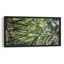 Armonía Retorcida de Árboles - ECO | Cuadro decorativo de Canvas Lab