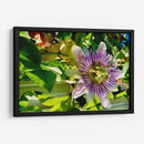 Mandala de la Naturaleza - ECO | Cuadro decorativo de Canvas Lab