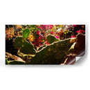 Naturaleza Rústica - ECO | Cuadro decorativo de Canvas Lab