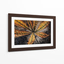 Hoja de castaño - Julie de Graag | Cuadro decorativo de Canvas Lab