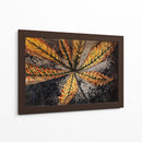 Hoja de castaño - Julie de Graag | Cuadro decorativo de Canvas Lab