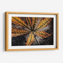 Hoja de castaño - Julie de Graag | Cuadro decorativo de Canvas Lab