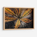 Hoja de castaño - Julie de Graag | Cuadro decorativo de Canvas Lab