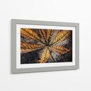 Hoja de castaño - Julie de Graag | Cuadro decorativo de Canvas Lab
