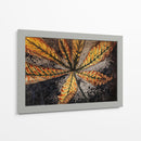 Hoja de castaño - Julie de Graag | Cuadro decorativo de Canvas Lab