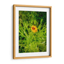 Resplandor Amarillo - ECO | Cuadro decorativo de Canvas Lab