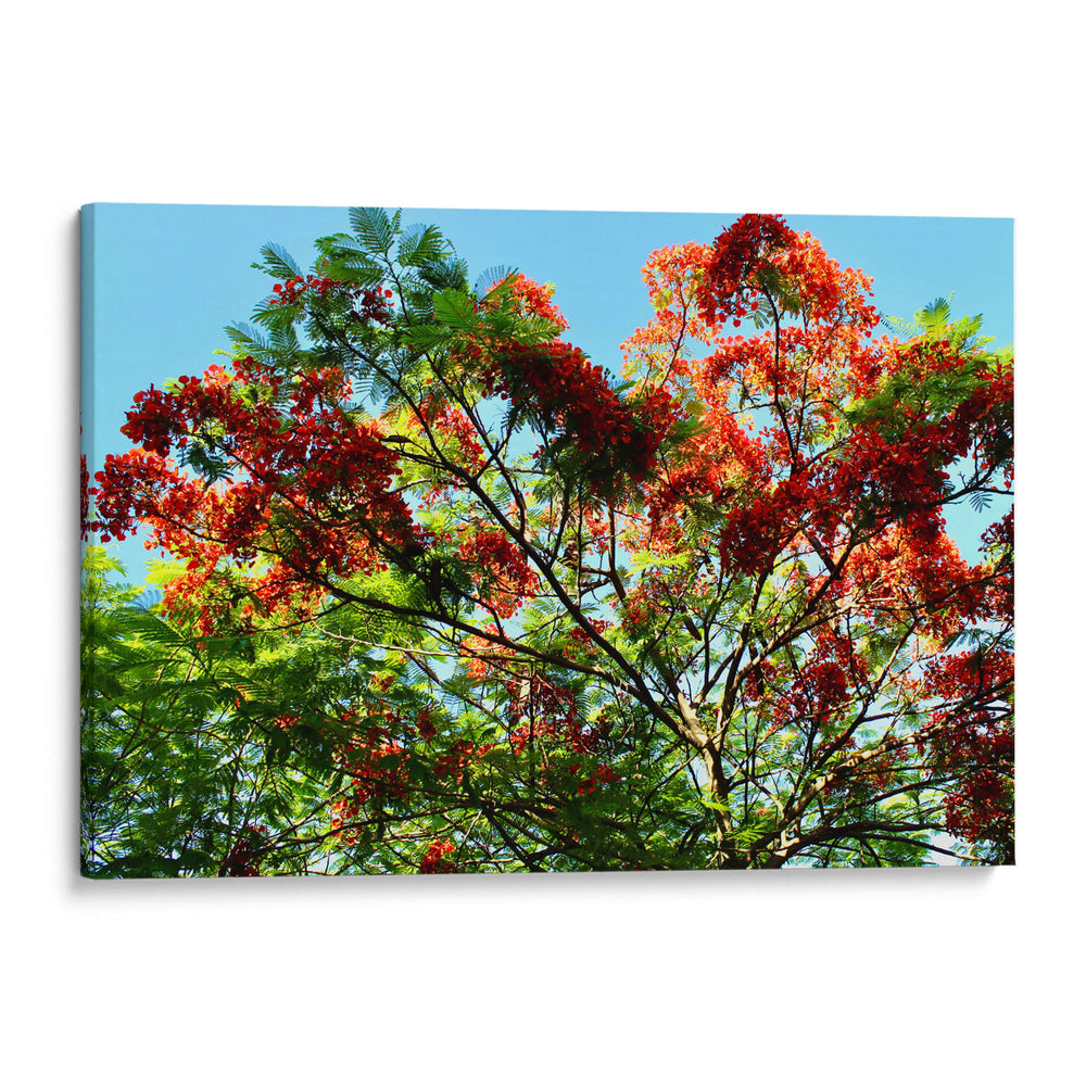 Resplandor Primaveral - ECO | Cuadro decorativo de Canvas Lab