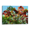 Resplandor Primaveral - ECO | Cuadro decorativo de Canvas Lab