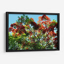 Resplandor Primaveral - ECO | Cuadro decorativo de Canvas Lab