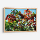 Resplandor Primaveral - ECO | Cuadro decorativo de Canvas Lab