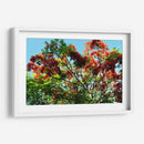 Resplandor Primaveral - ECO | Cuadro decorativo de Canvas Lab