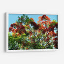 Resplandor Primaveral - ECO | Cuadro decorativo de Canvas Lab