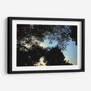 Contraluz Sereno - ECO | Cuadro decorativo de Canvas Lab