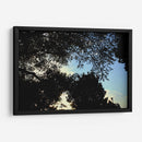 Contraluz Sereno - ECO | Cuadro decorativo de Canvas Lab