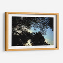 Contraluz Sereno - ECO | Cuadro decorativo de Canvas Lab