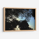 Contraluz Sereno - ECO | Cuadro decorativo de Canvas Lab