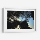 Contraluz Sereno - ECO | Cuadro decorativo de Canvas Lab
