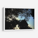 Contraluz Sereno - ECO | Cuadro decorativo de Canvas Lab