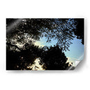 Contraluz Sereno - ECO | Cuadro decorativo de Canvas Lab