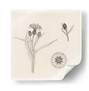 Bosquejo de color acianos - Julie de Graag | Cuadro decorativo de Canvas Lab