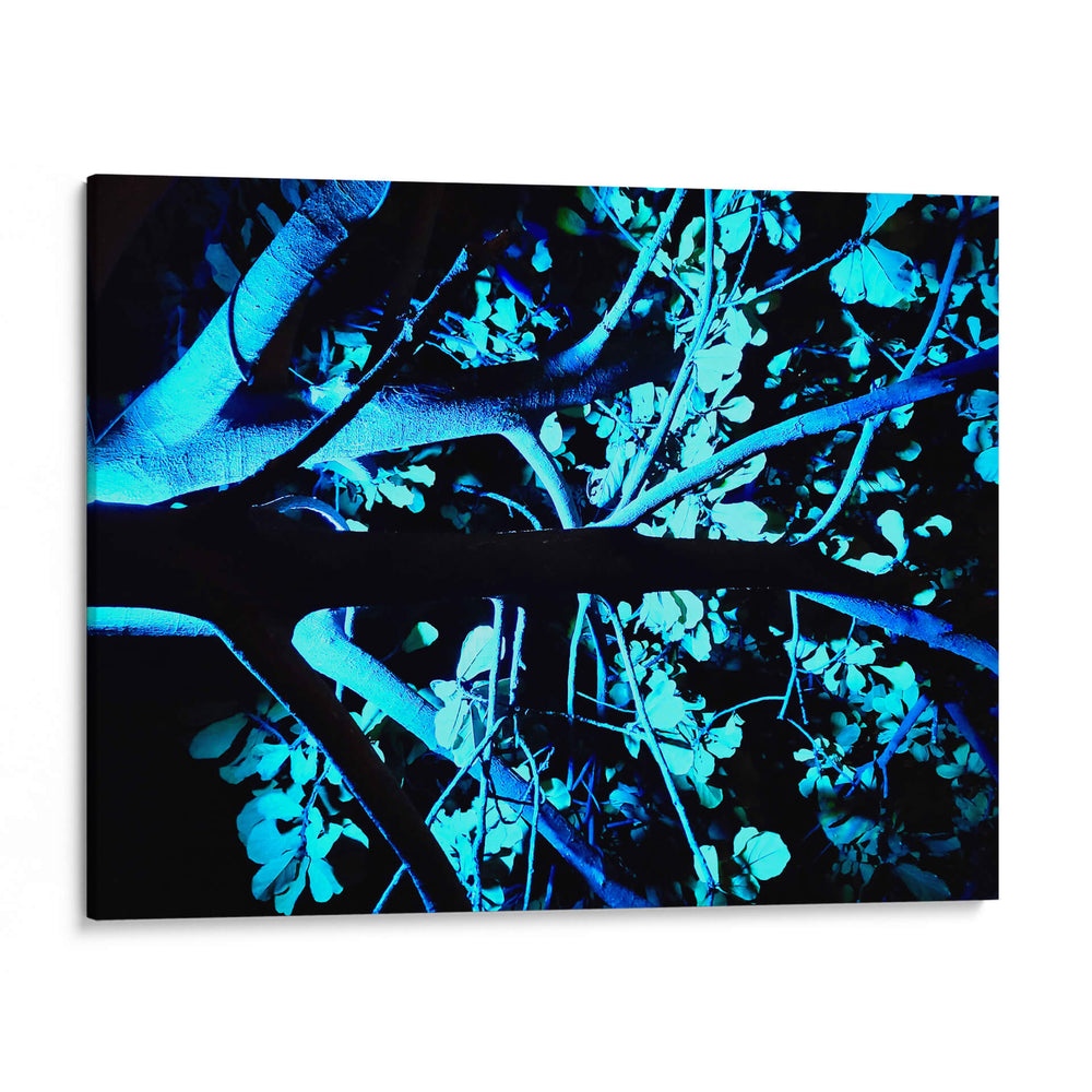 Fulgor Nocturno - ECO | Cuadro decorativo de Canvas Lab
