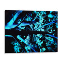 Fulgor Nocturno - ECO | Cuadro decorativo de Canvas Lab