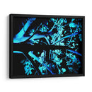 Fulgor Nocturno - ECO | Cuadro decorativo de Canvas Lab