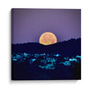 Luna en Retiro - ECO | Cuadro decorativo de Canvas Lab