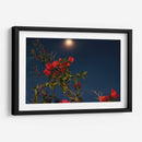 Sutileza Nocturna - ECO | Cuadro decorativo de Canvas Lab