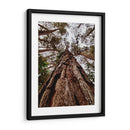 Coloso de Guarulhos - ECO | Cuadro decorativo de Canvas Lab