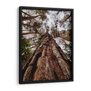 Coloso de Guarulhos - ECO | Cuadro decorativo de Canvas Lab