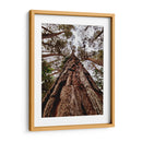 Coloso de Guarulhos - ECO | Cuadro decorativo de Canvas Lab